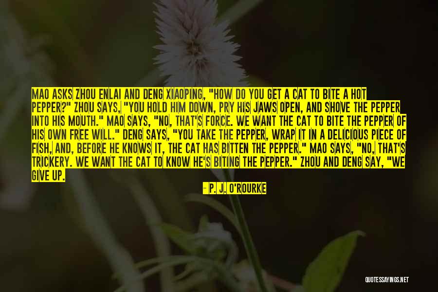 Hypercathexis Quotes By P. J. O'Rourke Hypercathexis Quotes By P. J. O'Rourke