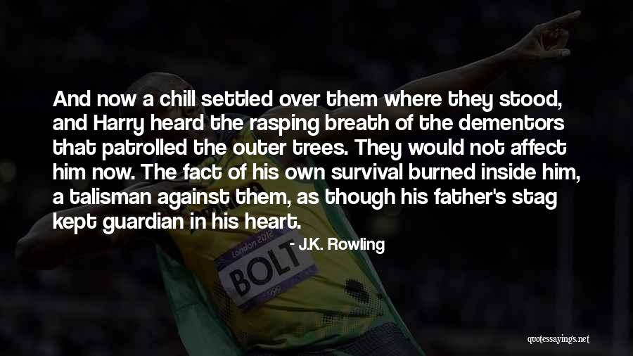 Hypercomplexity Quotes By J.K. Rowling