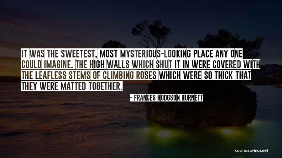 Hyperemotional Quotes By Frances Hodgson Burnett Hyperemotional Quotes By Frances Hodgson Burnett