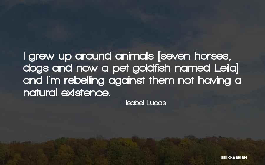 Hypernova Albert Quotes By Isabel Lucas Hypernova Albert Quotes By Isabel Lucas