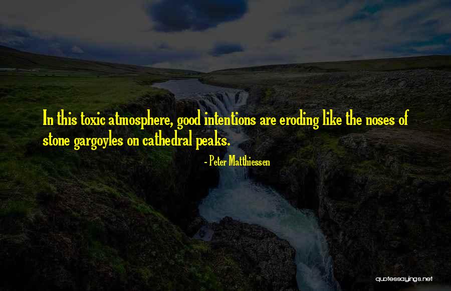 Hyperpig Quotes By Peter Matthiessen Hyperpig Quotes By Peter Matthiessen