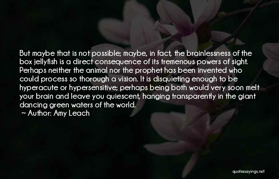 Hypersensitive Quotes By Amy Leach