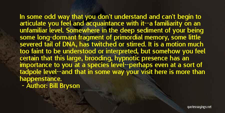 Hypnotic Quotes By Bill Bryson