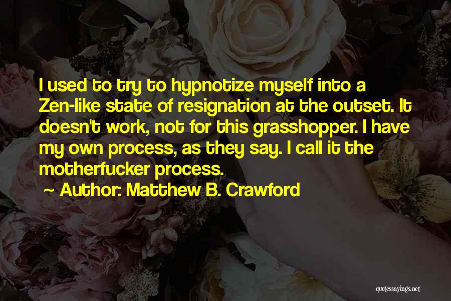 Hypnotize Quotes By Matthew B. Crawford