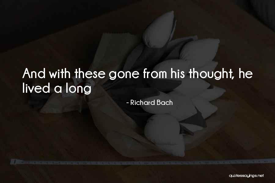 Hypoallergenic Cat Quotes By Richard Bach