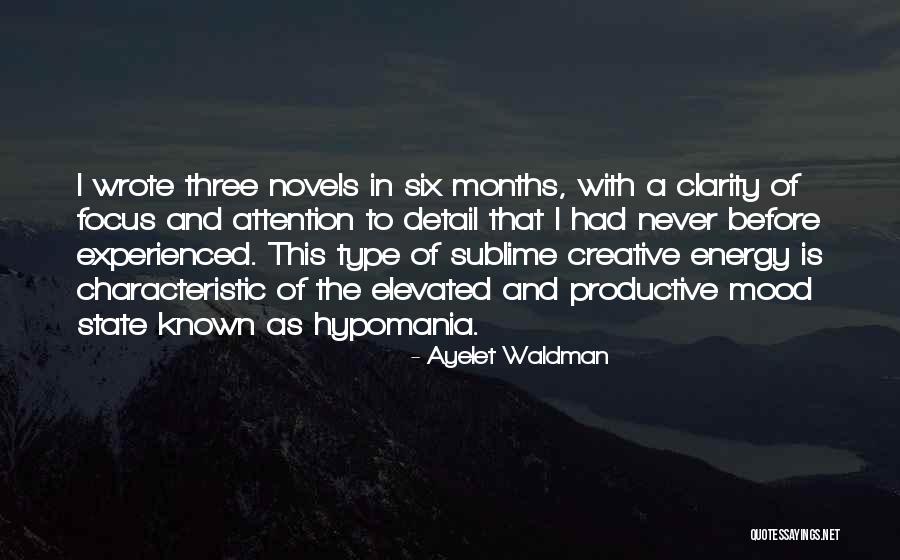 Hypomania Quotes By Ayelet Waldman