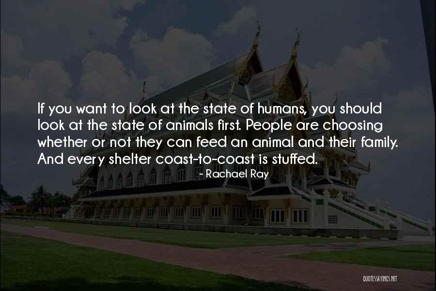 Hypomonen Quotes By Rachael Ray Hypomonen Quotes By Rachael Ray