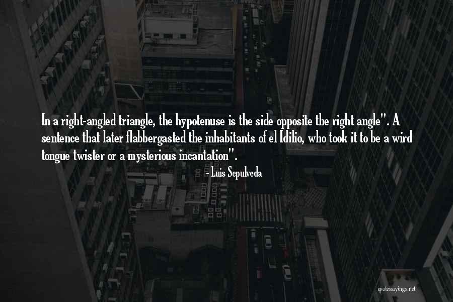 Hypotenuse Of A Right Quotes By Luis Sepulveda Hypotenuse Of A Right Quotes By Luis Sepulveda