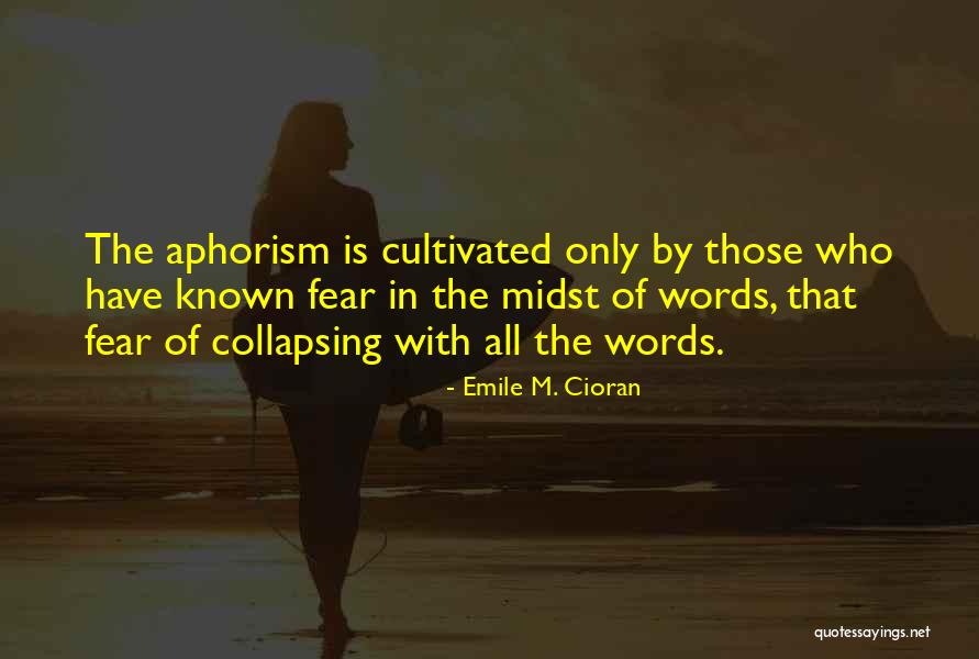 Hypothalamic Disease Quotes By Emile M. Cioran