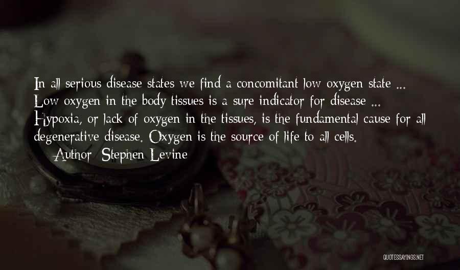 Hypoxia Quotes By Stephen Levine