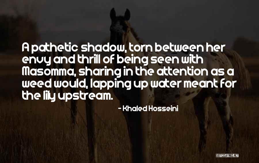 Hypoxia Vs Ischemia Quotes By Khaled Hosseini Hypoxia Vs Ischemia Quotes By Khaled Hosseini