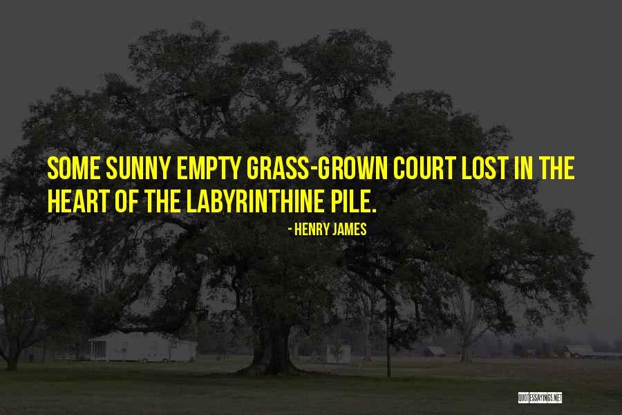 Hyram Sunscreen Quotes By Henry James Hyram Sunscreen Quotes By Henry James