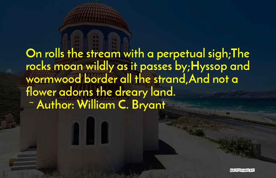 Hyssop Quotes By William C. Bryant