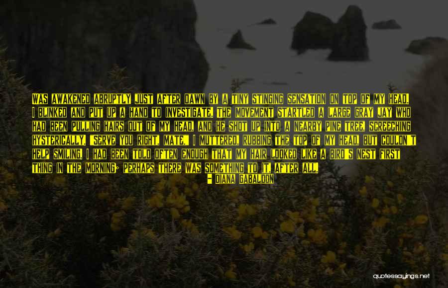 Hysterically Quotes By Diana Gabaldon Hysterically Quotes By Diana Gabaldon
