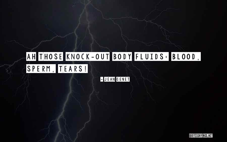 Hythem Musa Quotes By Jean Genet Hythem Musa Quotes By Jean Genet
