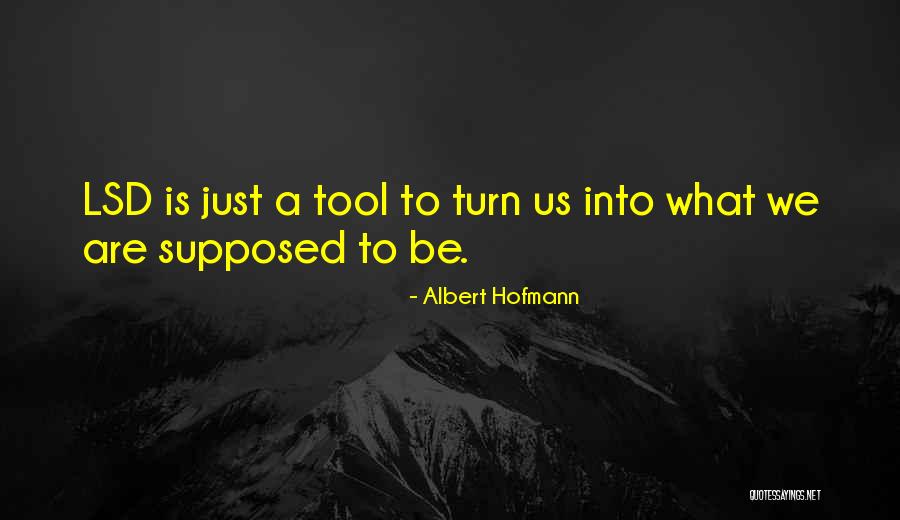 Hzmeizhuo Quotes By Albert Hofmann