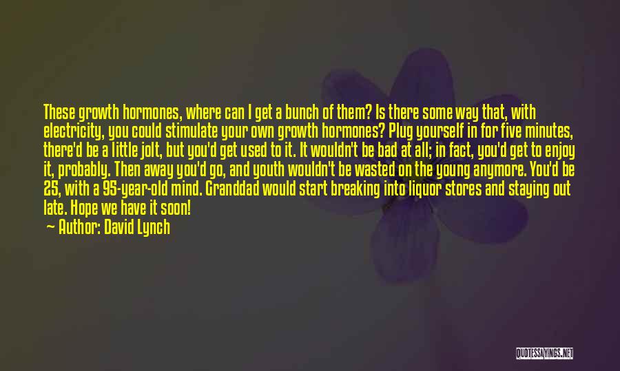 I 25 Years Old Quotes By David Lynch