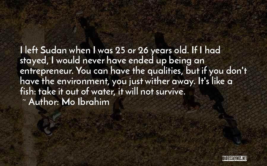 I 25 Years Old Quotes By Mo Ibrahim