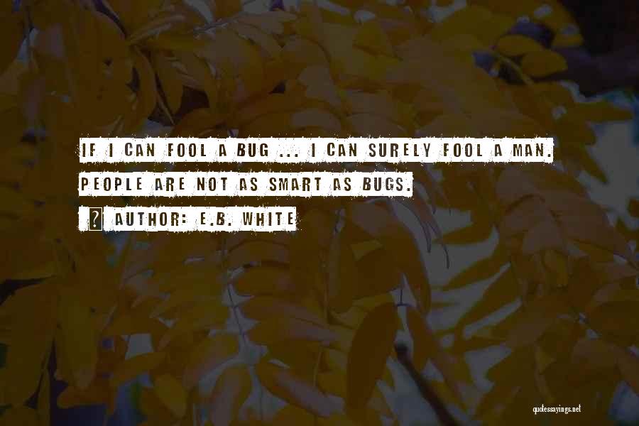 I A Fool Quotes By E.B. White