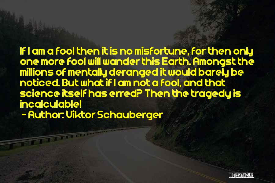 I A Fool Quotes By Viktor Schauberger