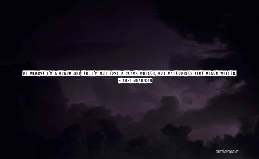 I Accept Terms Quotes By Toni Morrison I Accept Terms Quotes By Toni Morrison