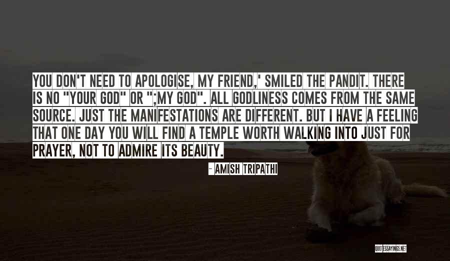 I Admire You Friend Quotes By Amish Tripathi