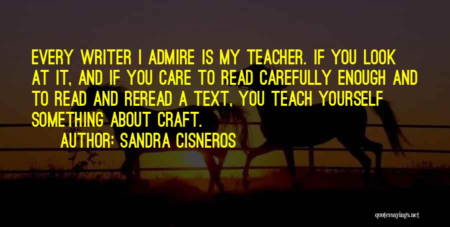 I Admire You Quotes By Sandra Cisneros