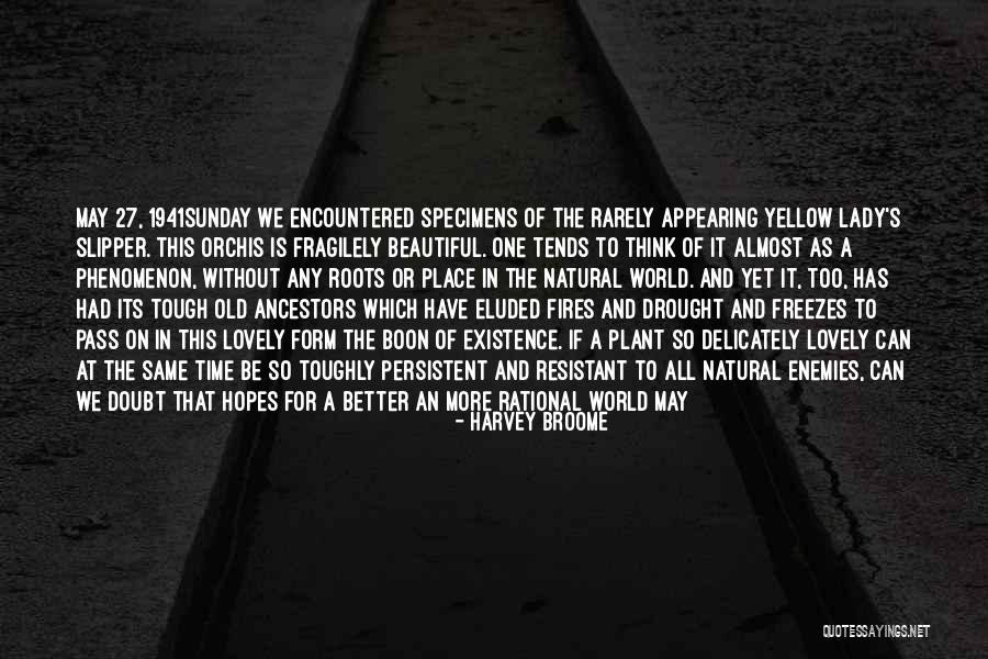 I Almost Lost Him Quotes By Harvey Broome I Almost Lost Him Quotes By Harvey Broome