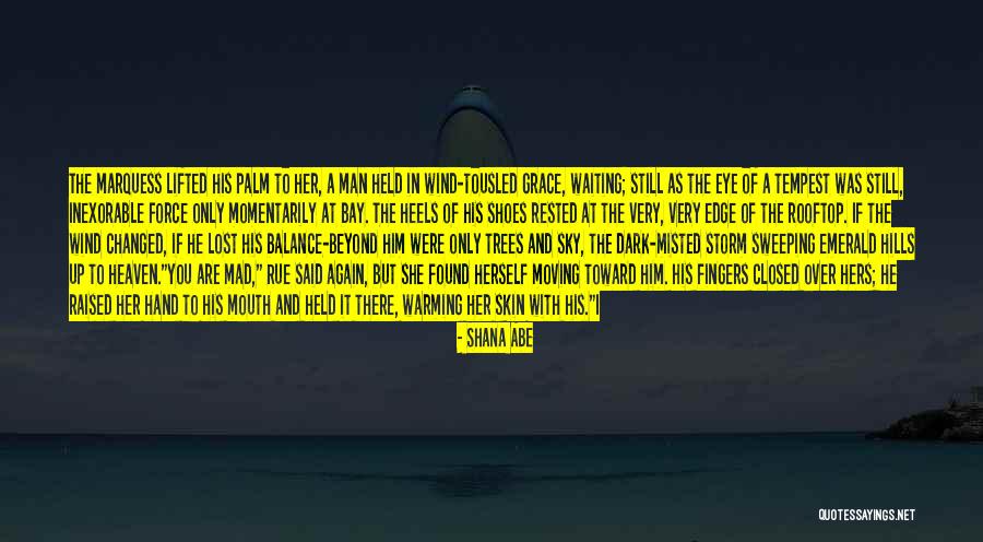 I Almost Lost Him Quotes By Shana Abe I Almost Lost Him Quotes By Shana Abe