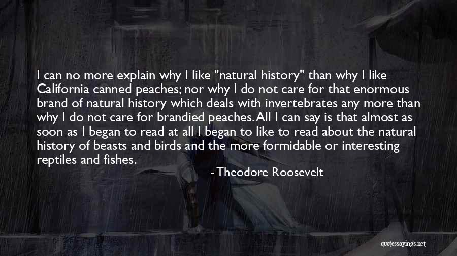 I Almost Quotes By Theodore Roosevelt I Almost Quotes By Theodore Roosevelt