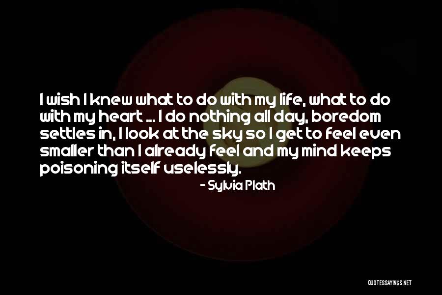 I Already Knew Quotes By Sylvia Plath