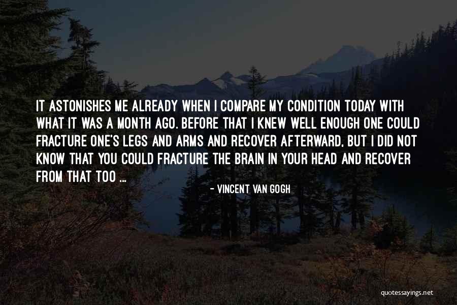 I Already Knew Quotes By Vincent Van Gogh