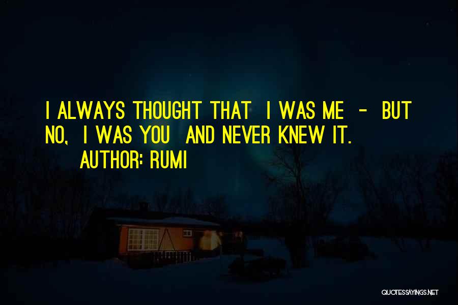 I Always Knew It Was You Quotes By Rumi