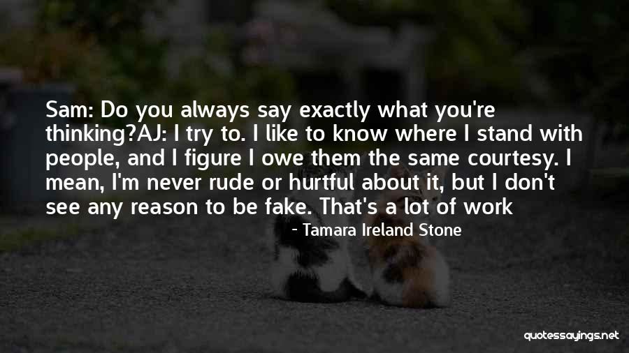 I Always Mean What I Say Quotes By Tamara Ireland Stone