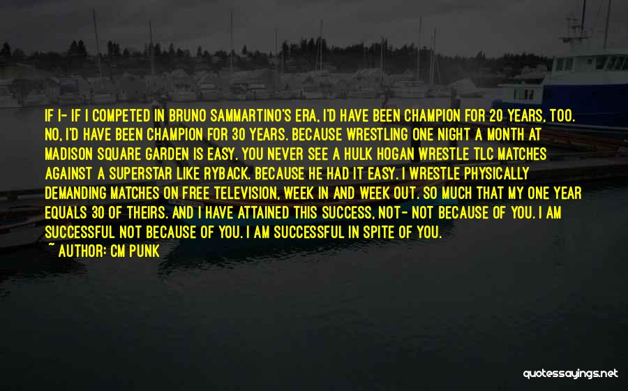 I Am 30 Quotes By CM Punk