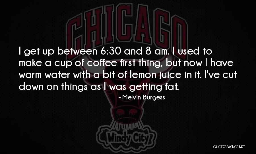 I Am 30 Quotes By Melvin Burgess I Am 30 Quotes By Melvin Burgess