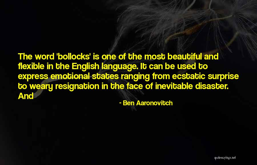 I Am A Beautiful Disaster Quotes By Ben Aaronovitch I Am A Beautiful Disaster Quotes By Ben Aaronovitch