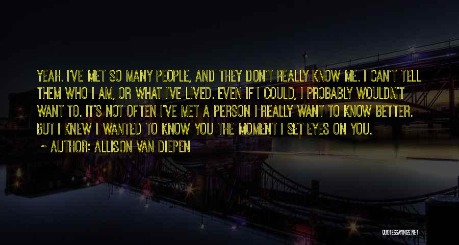 I Am A Better Person Quotes By Allison Van Diepen