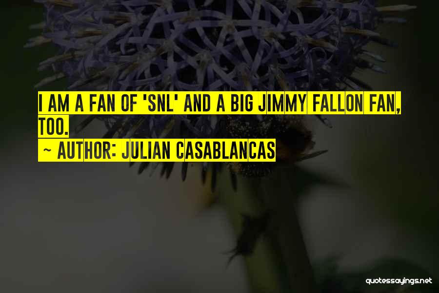 I Am A Big Fan Quotes By Julian Casablancas