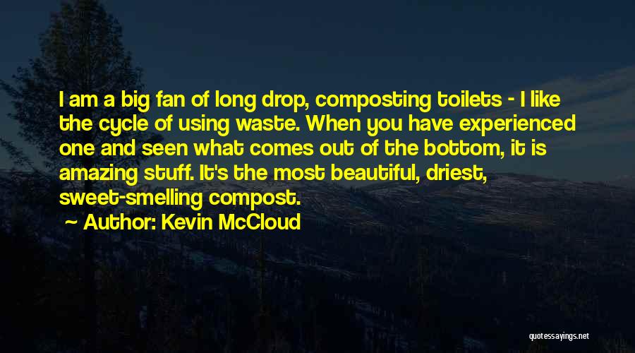 I Am A Big Fan Quotes By Kevin McCloud