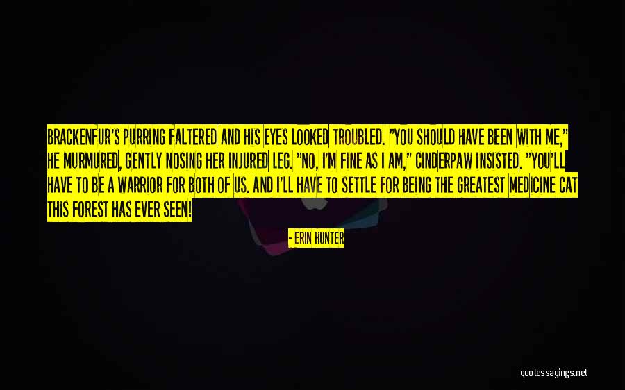 I Am A Cat Quotes By Erin Hunter I Am A Cat Quotes By Erin Hunter