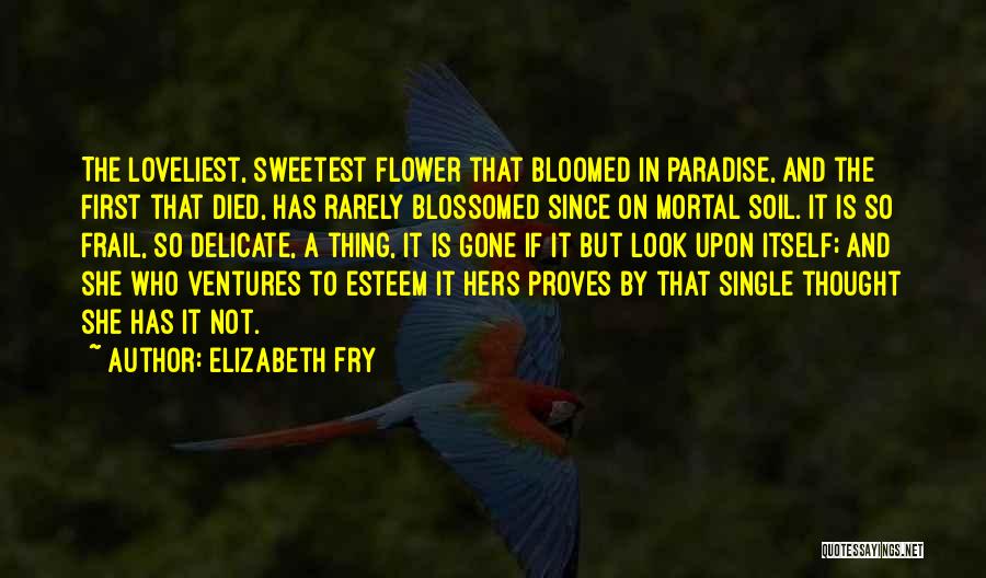 I Am A Delicate Flower Quotes By Elizabeth Fry