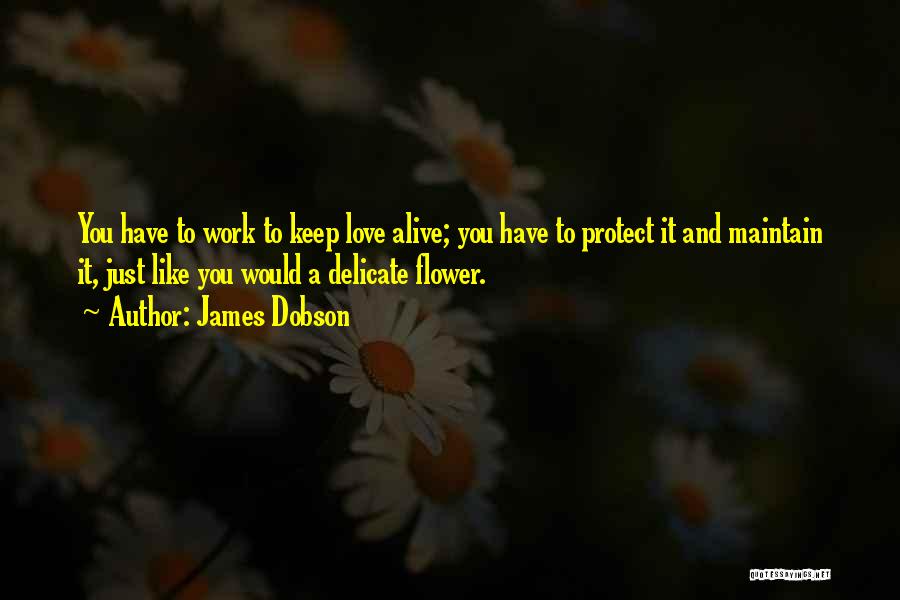 I Am A Delicate Flower Quotes By James Dobson