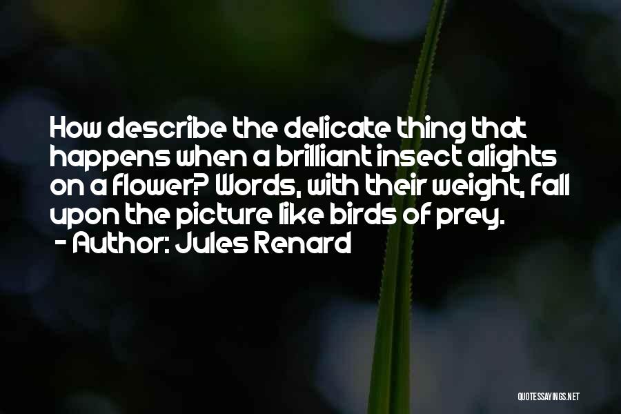 I Am A Delicate Flower Quotes By Jules Renard