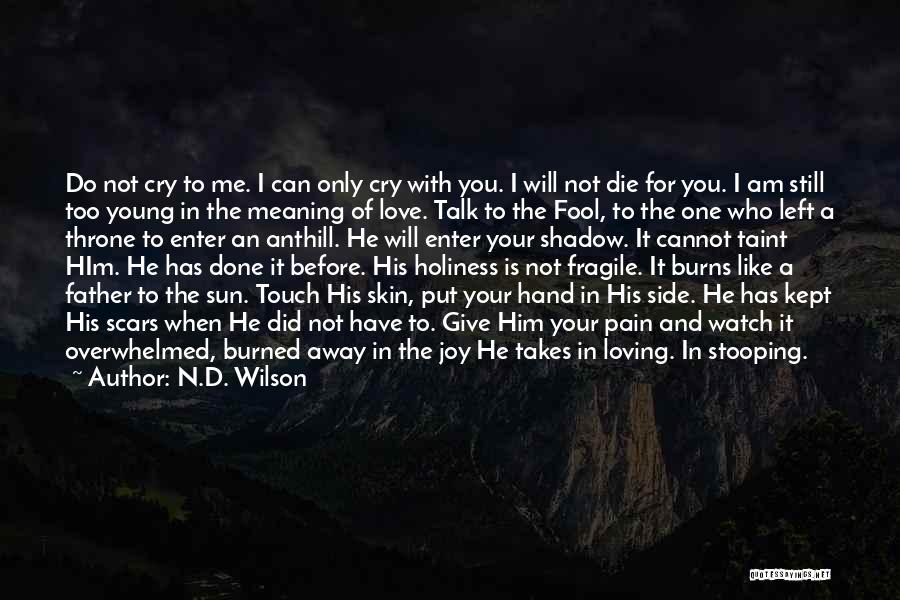 I Am A Fool Quotes By N.D. Wilson