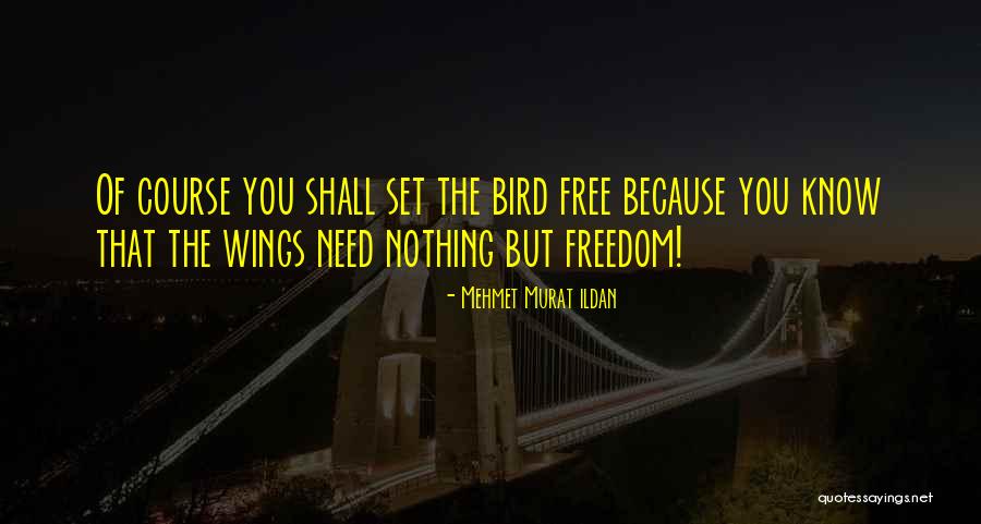 I Am A Free Bird Quotes By Mehmet Murat Ildan