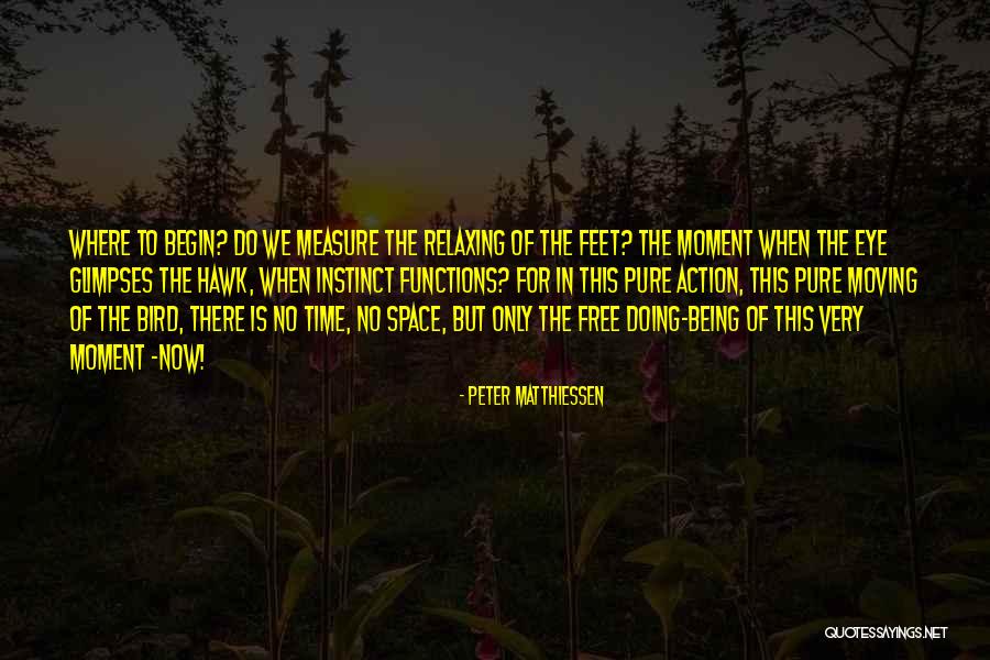 I Am A Free Bird Quotes By Peter Matthiessen