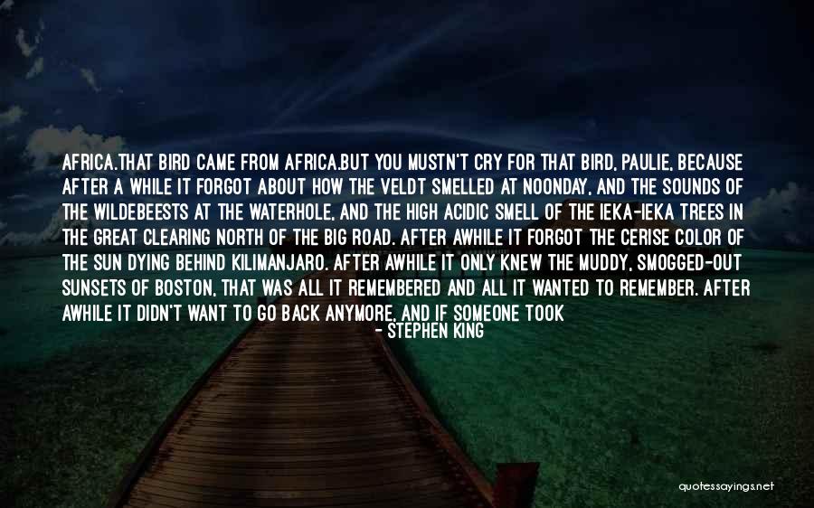 I Am A Free Bird Quotes By Stephen King