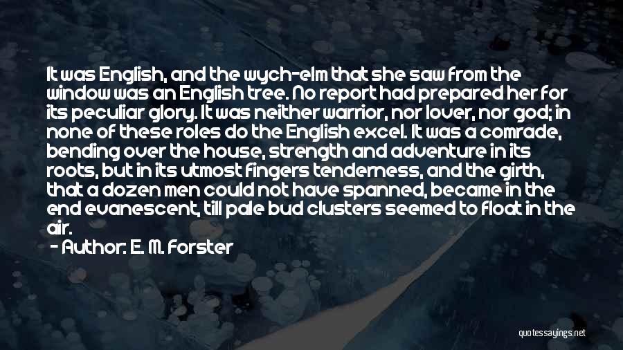 I Am A God Warrior Quotes By E. M. Forster