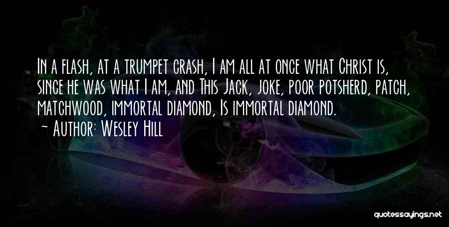 I Am A Joke Quotes By Wesley Hill